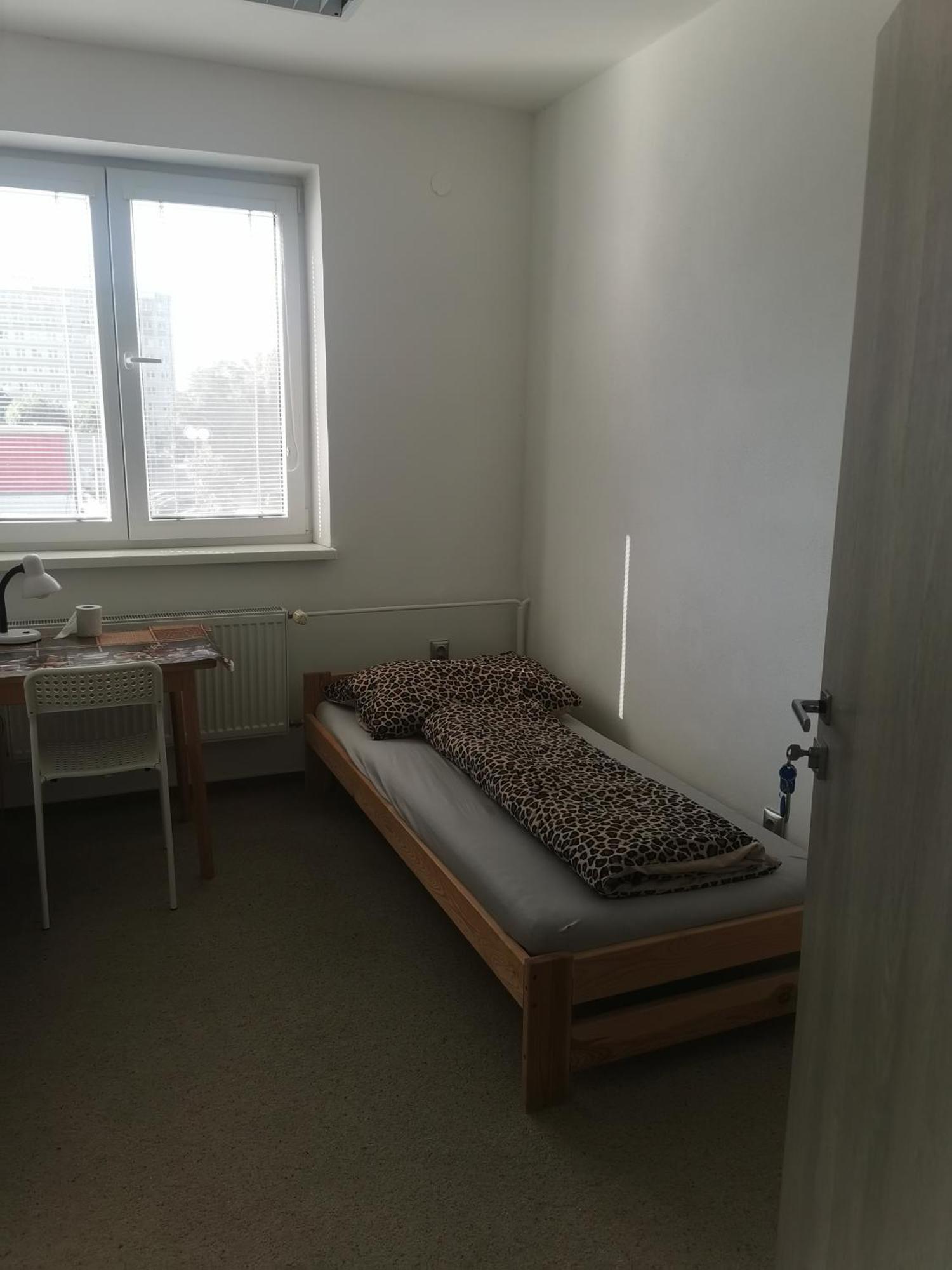Living Bratislava By The Bus Station Hostel ภายนอก รูปภาพ